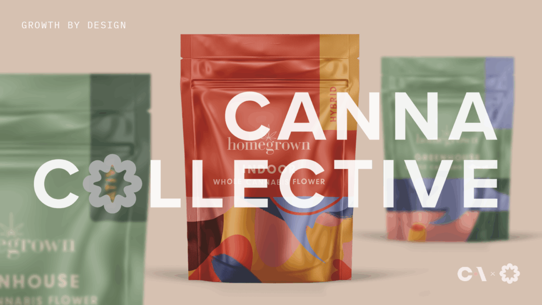 Cache Studio And Canna Collective Forge Trailblazing Partnership To ...